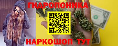 соль ск Партизанск