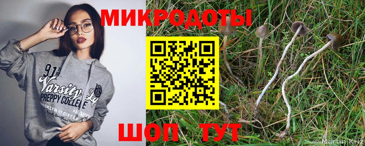 Псилоцибиновые грибы Cubensis Электросталь